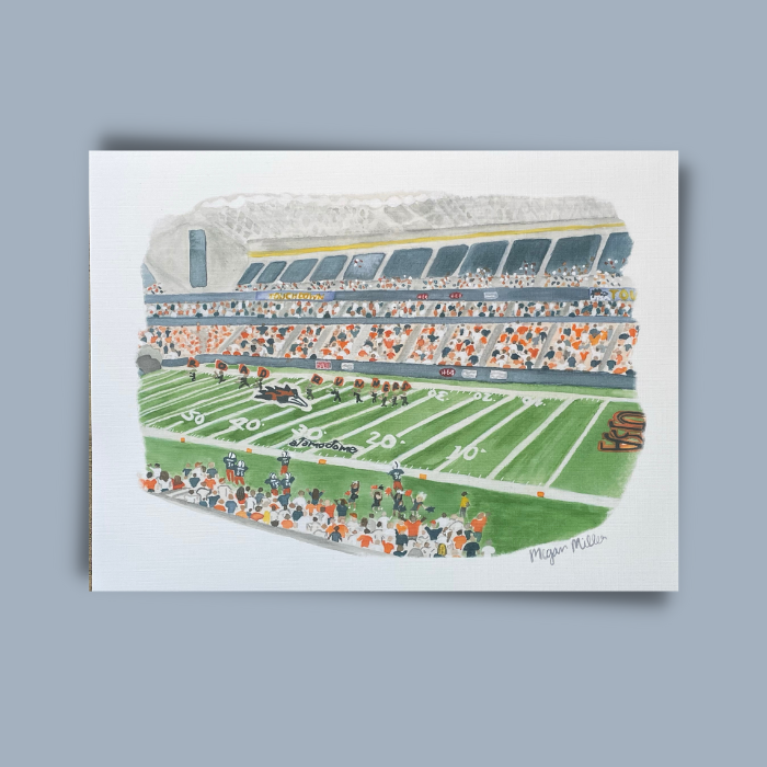 Print of UTSA Football at the Alamodome